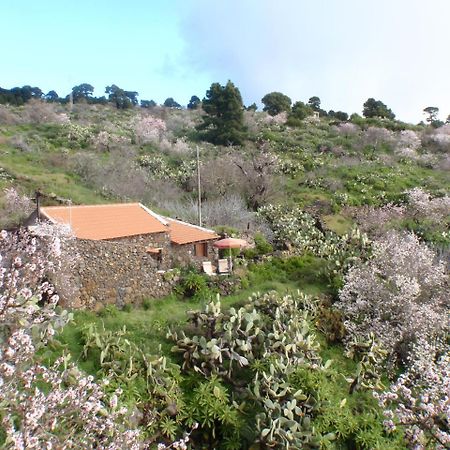 Casa Rural La Jarita El Pinar  外观 照片