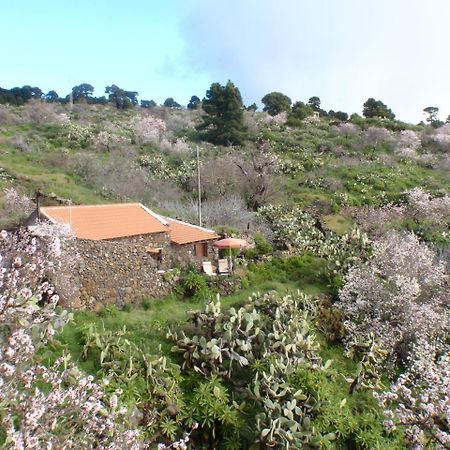 El Pinar  Casa Rural La Jarita旅馆 外观 照片