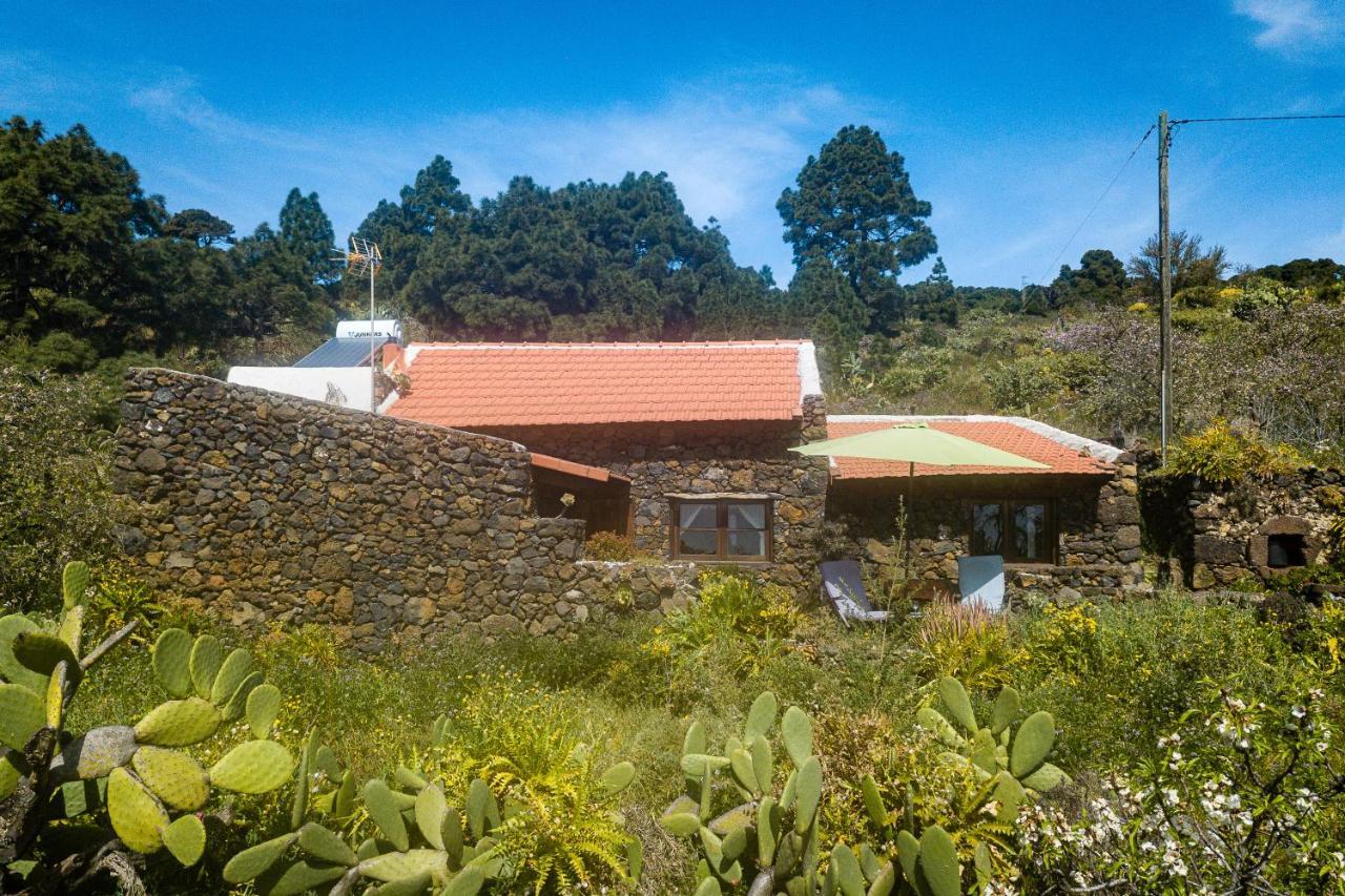 El Pinar  Casa Rural La Jarita旅馆 外观 照片