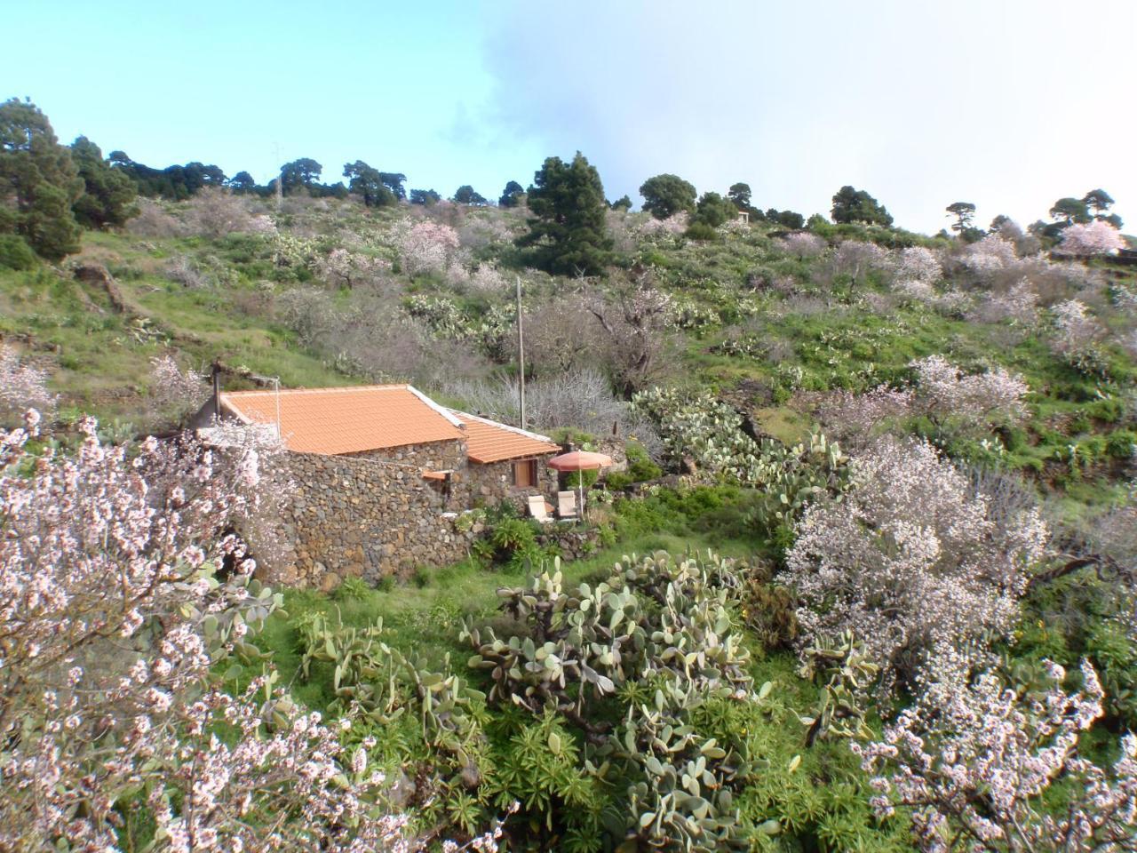 El Pinar  Casa Rural La Jarita旅馆 外观 照片