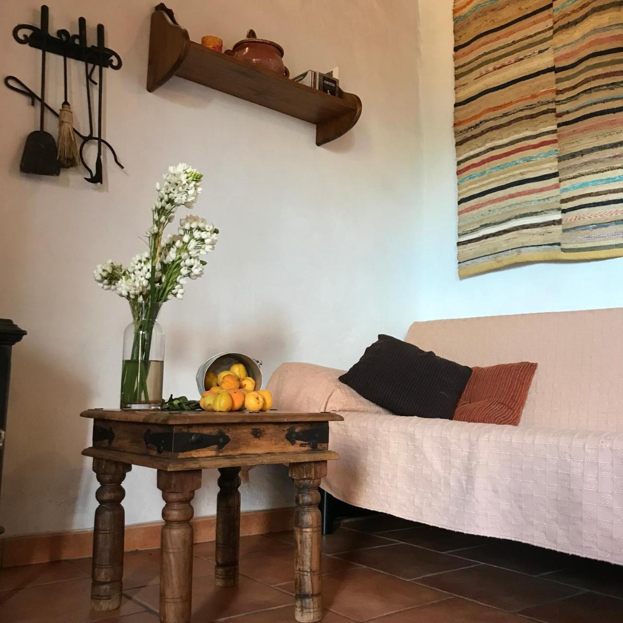 Casa Rural La Jarita El Pinar  外观 照片